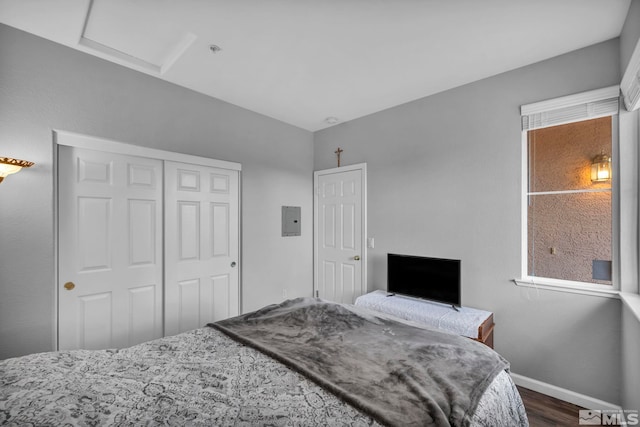 bedroom featuring baseboards, a closet, electric panel, dark wood finished floors, and attic access