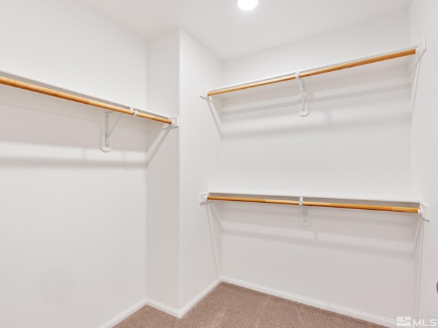 walk in closet with light carpet