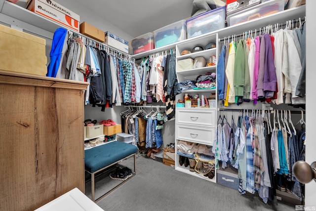 spacious closet with carpet floors