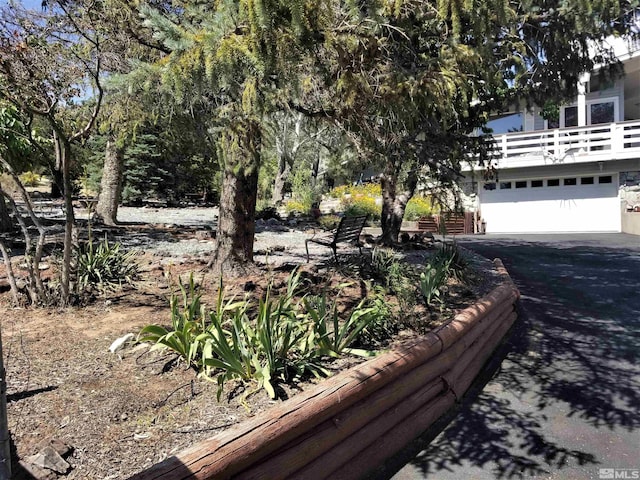 view of yard with driveway