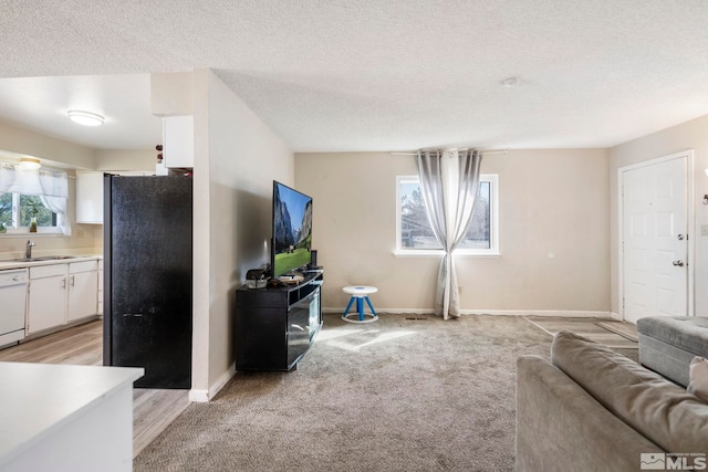 living room featuring a textured ceiling, light carpet, and baseboards