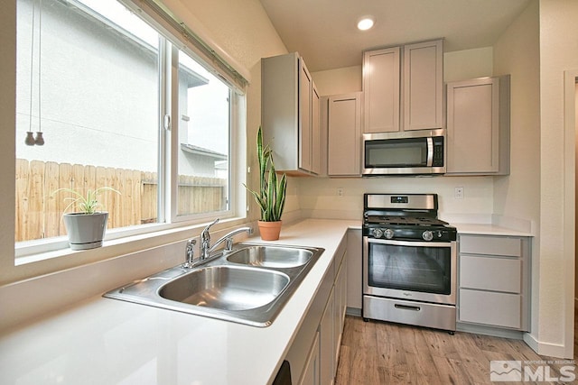 kitchen featuring stainless steel appliances, a sink, light countertops, and gray cabinetry