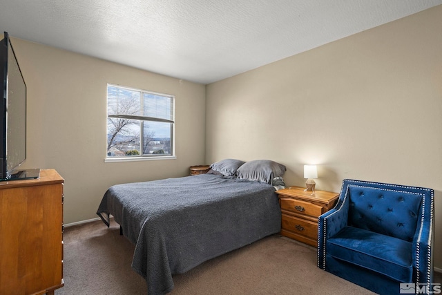 bedroom featuring carpet, a textured ceiling, and baseboards