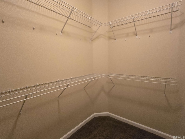 view of walk in closet