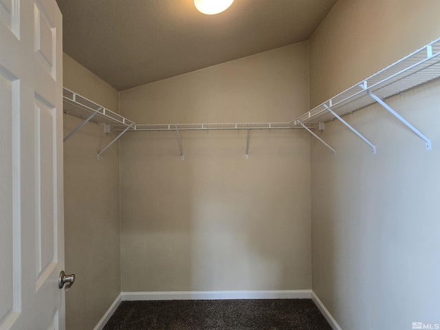 spacious closet with carpet flooring