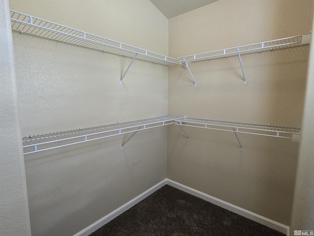 spacious closet with carpet flooring