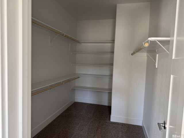 walk in closet with dark carpet