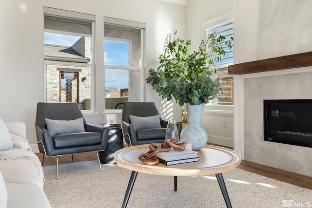 living room featuring a fireplace and wood finished floors