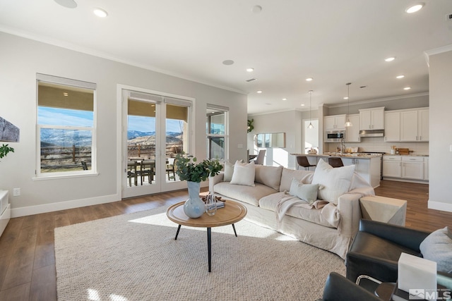 living room featuring ornamental molding, baseboards, and wood finished floors