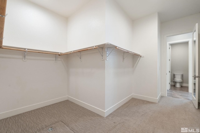 spacious closet featuring light colored carpet