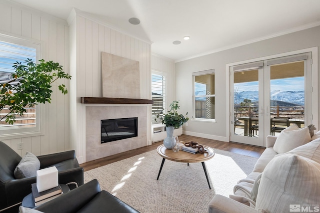 living room with crown molding, a tile fireplace, a mountain view, and wood finished floors