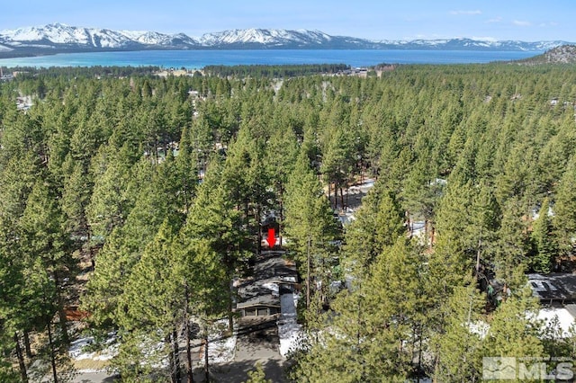 bird's eye view with a mountain view and a view of trees