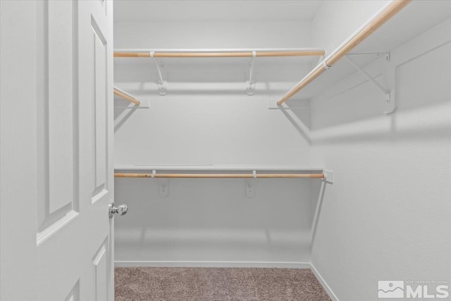 spacious closet featuring light colored carpet