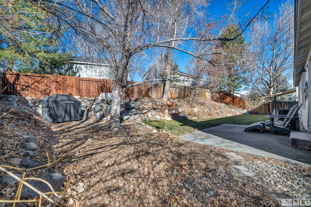 view of yard with a patio area and a fenced backyard