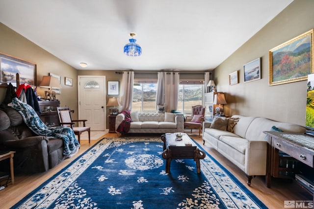 living area featuring wood finished floors