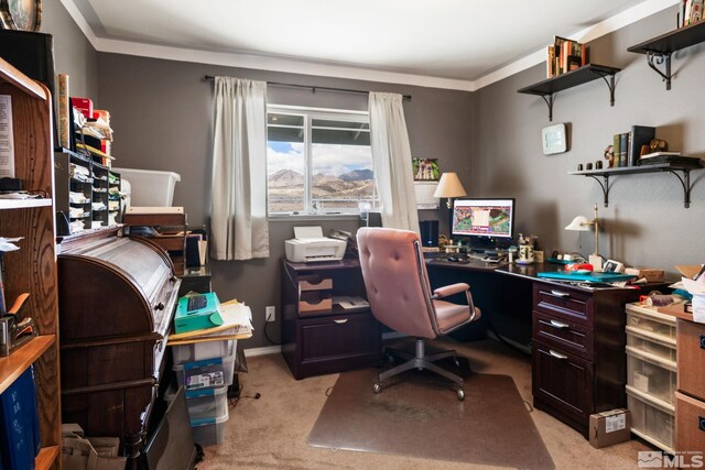 office space featuring light colored carpet, crown molding, and baseboards