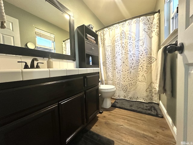 bathroom featuring a shower with curtain, toilet, wood finished floors, and vanity