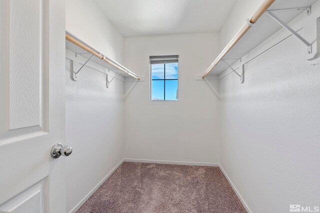 walk in closet featuring carpet flooring