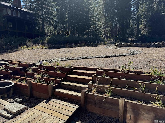 view of yard featuring a garden