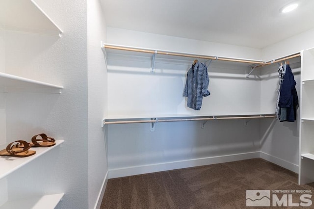 walk in closet with carpet