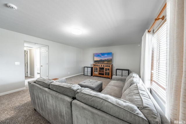 living area with carpet and baseboards