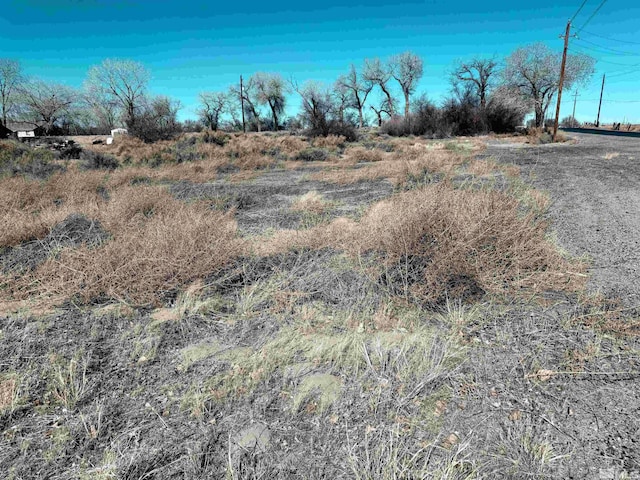 2020 Blues Ct, Fallon NV, 89406 land for sale