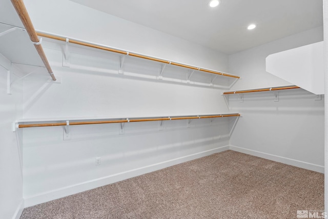 walk in closet featuring carpet flooring