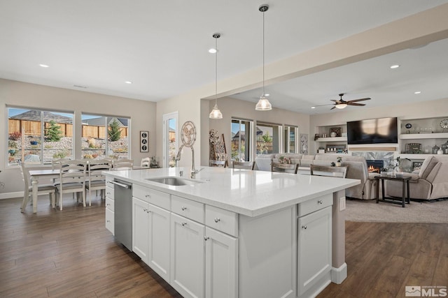 kitchen featuring stainless steel dishwasher, a premium fireplace, plenty of natural light, and a sink