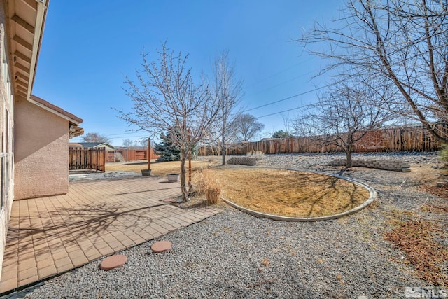 view of yard with a patio area and a fenced backyard