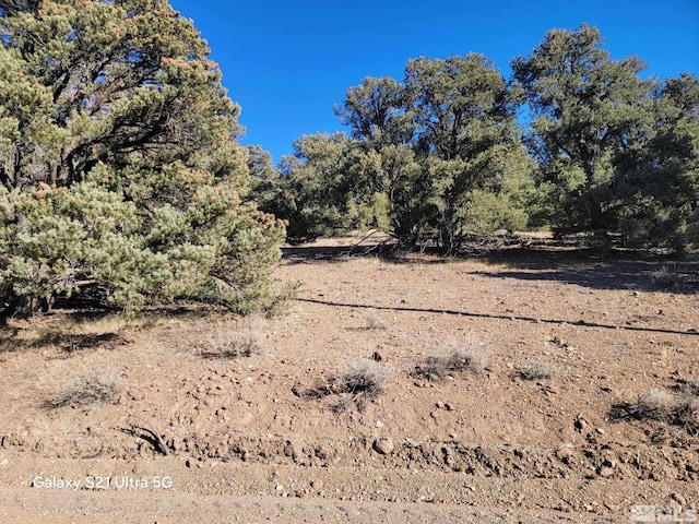 1450 Yellowjacket Rd, Reno NV, 89521 land for sale