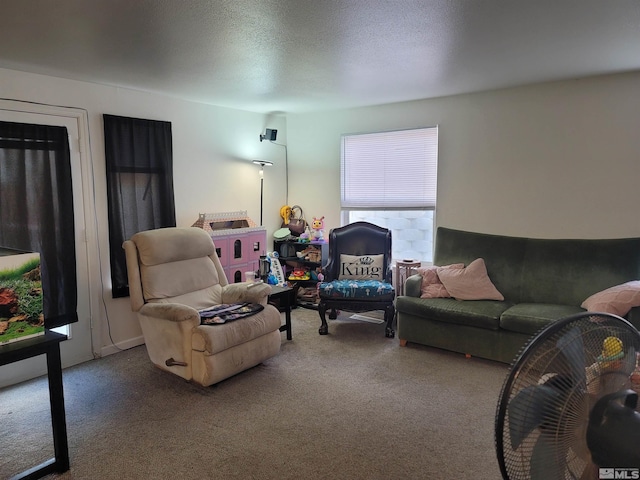 carpeted living area featuring a textured ceiling