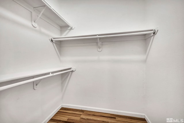 spacious closet featuring dark wood-type flooring