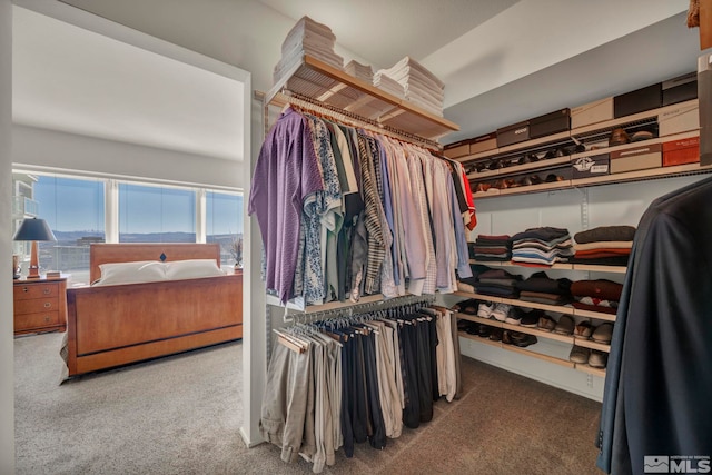 spacious closet with carpet flooring