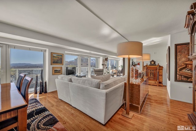 living area featuring light wood-style floors, plenty of natural light, and baseboards