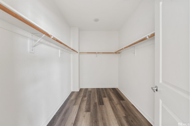 walk in closet featuring wood finished floors