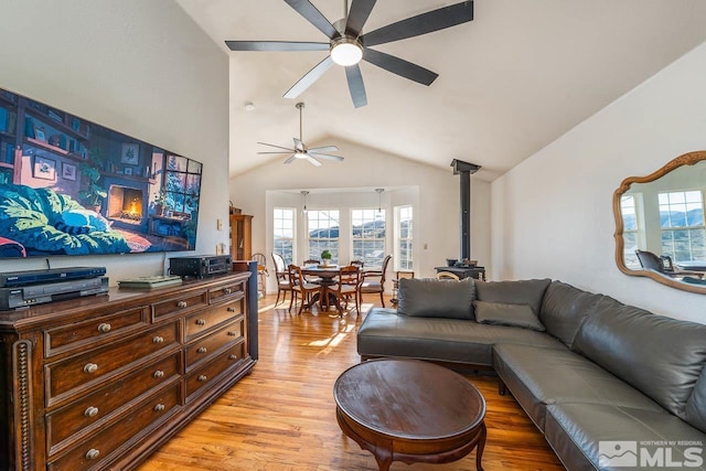 living room featuring light wood-style floors, a wood stove, and a healthy amount of sunlight