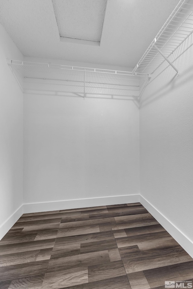 spacious closet featuring dark wood-style floors and attic access