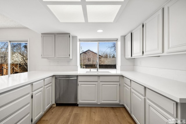 kitchen with a sink, a wealth of natural light, light wood finished floors, and dishwasher