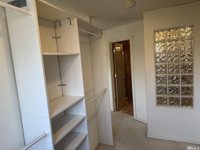 spacious closet featuring light carpet