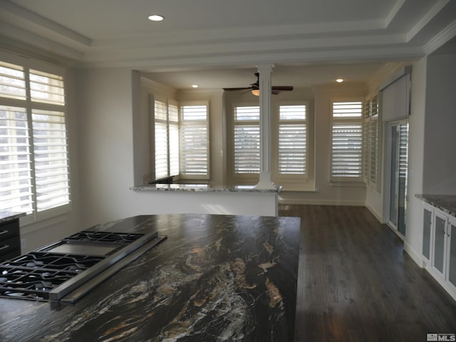 interior space with a ceiling fan, recessed lighting, dark wood-style flooring, and plenty of natural light