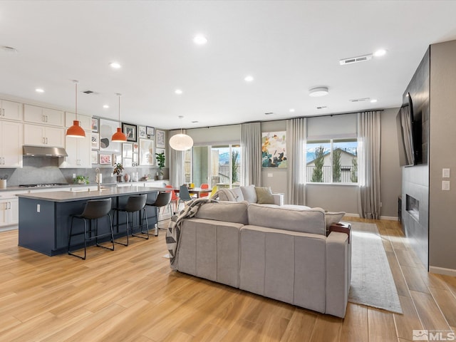 living area featuring plenty of natural light, light wood finished floors, a fireplace, and visible vents