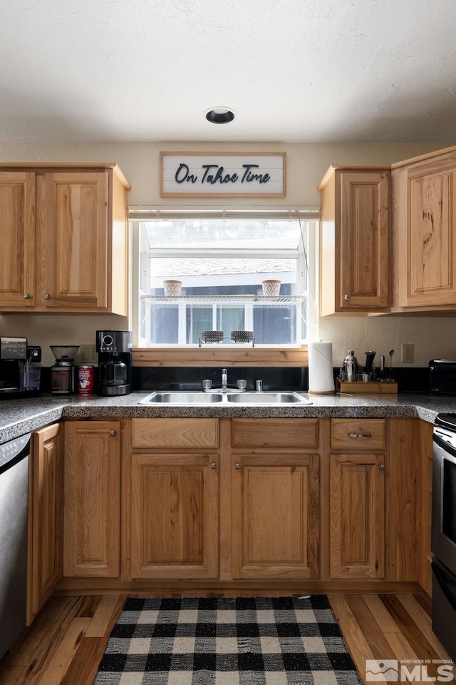 kitchen with dishwasher, light wood finished floors, plenty of natural light, and a sink