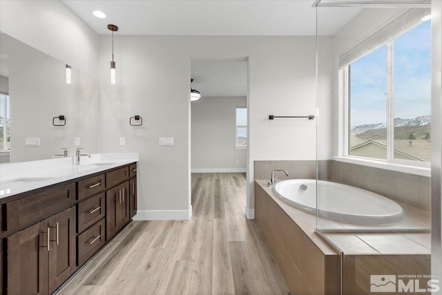 bathroom featuring double vanity, baseboards, wood finished floors, a sink, and a bath