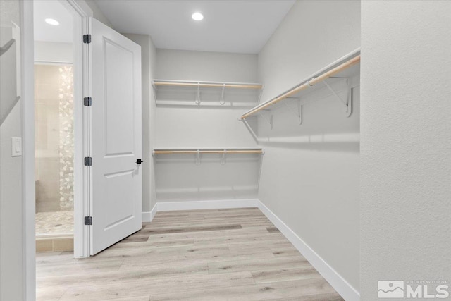 spacious closet featuring light wood-style flooring