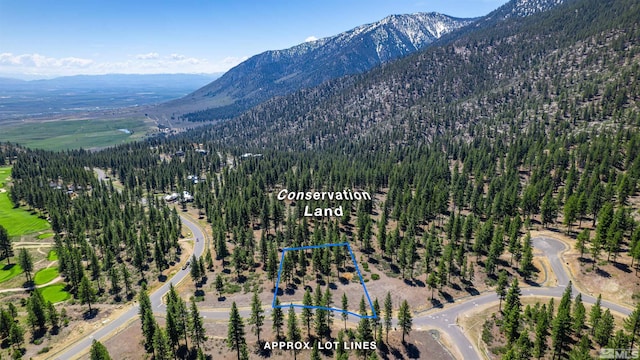 89 E Fork Dr, Carson City NV, 89705 land for sale