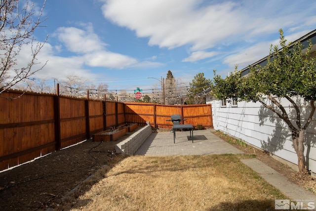 view of yard with a patio area and a fenced backyard