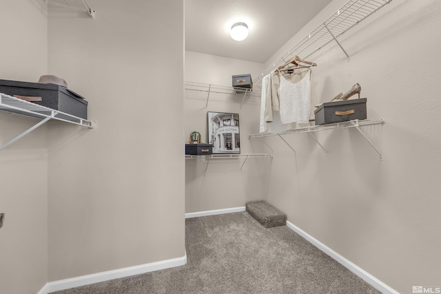 spacious closet with carpet