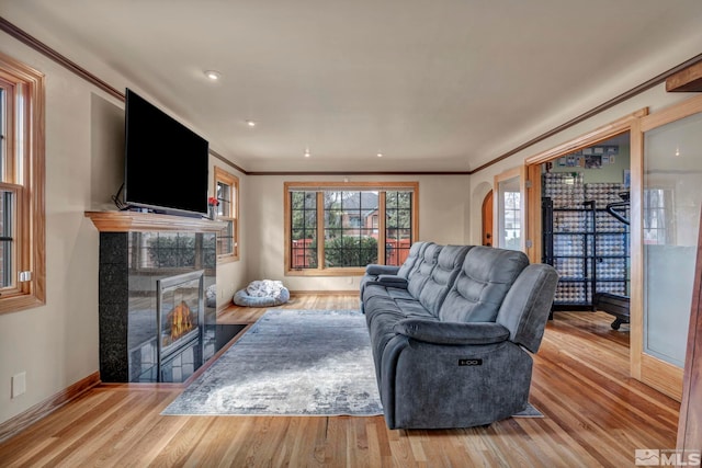 living area featuring arched walkways, a fireplace, ornamental molding, wood finished floors, and baseboards