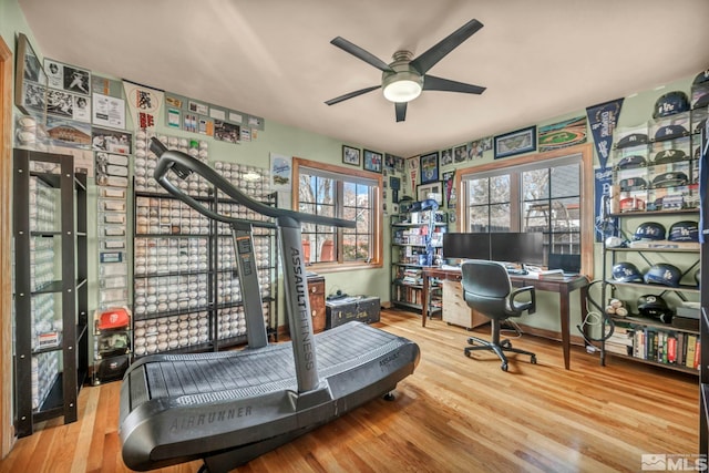 office featuring ceiling fan and wood finished floors