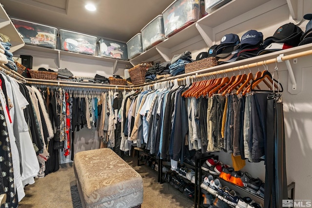 spacious closet featuring carpet floors